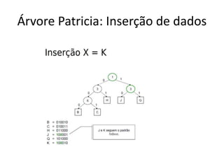 Árvore Patricia: Inserção de dados
 