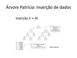 Árvore Patricia: Inserção de dados
 