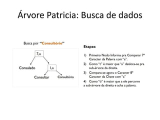 Árvore Patricia: Busca de dados
 