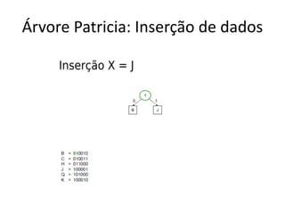 Árvore Patricia: Inserção de dados
 