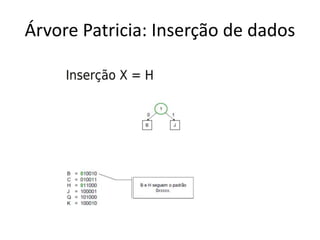 Árvore Patricia: Inserção de dados
 