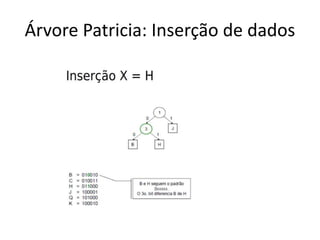 Árvore Patricia: Inserção de dados
 