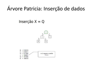 Árvore Patricia: Inserção de dados
 