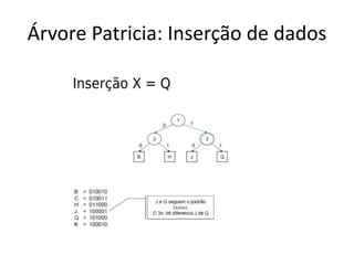 Árvore Patricia: Inserção de dados
 