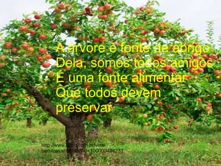 A árvore é fonte de abrigo
     Dela, somos todos amigos
     É uma fonte alimentar
     Que todos devem
     preservar

http://www.band.com.br/viva-
bem/casa/noticia/?id=100000498233
 