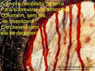 A árvore necessita da terra
Para sobreviver na atmosfera
O homem, sem ela,
se desespera
E o planeta sem
ela se degenera




                       http://grupoambientalga.blogspot.com.b
                       4/arvores-porque-vos-quero.html
 