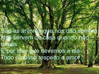 São as árvores que nos dão sombra
Nos servem de casa quando não
temos
É por isso que devemos a ela
Todo o nosso respeito e amor!
 