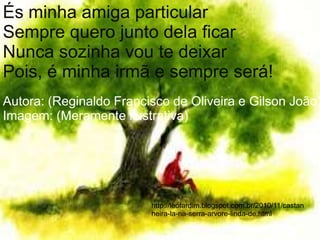 És minha amiga particular
Sempre quero junto dela ficar
Nunca sozinha vou te deixar
Pois, é minha irmã e sempre será!
Autora: (Reginaldo Francisco de Oliveira e Gilson João)
Imagem: (Meramente ilustrativa)




                         http://leofardim.blogspot.com.br/2010/11/castan
                         heira-la-na-serra-arvore-linda-de.html
 