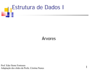 Estrutura de Dados I




                                          Árvores




Prof. Eder Stone Fontoura
Adaptação dos slides da Profa. Cristina Nunes       1
 