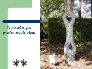 Se perceber que  precisa seguir, siga!   