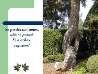 Se perder um amor,  não se perca!  Se o achar,  segure-o!  