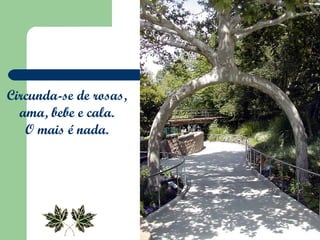 Circunda-se de rosas,  ama, bebe e cala.  O mais é nada.  