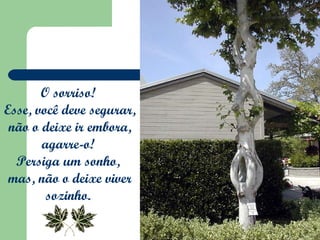 O sorriso!  Esse, você deve segurar,  não o deixe ir embora, agarre-o!  Persiga um sonho,  mas, não o deixe viver sozinho.  