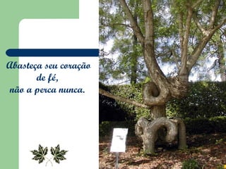 Abasteça seu coração de fé,  não a perca nunca.  