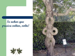 Se achar que  precisa voltar, volte!   