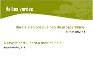 Haikus verdes


           Rara é a árvore que não dá prosperidade.
                                        Marta Costa, 5.º E



A árvore sorriu para a menina bela.
Raquel Batalha, 5.º E
 
