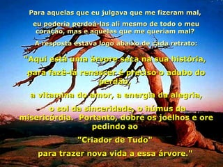 Para aquelas que eu julgava que me fizeram mal,  eu poderia perdoá-las ali mesmo de todo o meu coração, mas e aquelas que me queriam mal?  A resposta estava logo abaixo de cada retrato: "Aqui está uma árvore seca na sua história,  para fazê-lá renascer é preciso o adubo do perdão,  a vitamina do amor, a energia da alegria,   o sol da sinceridade, o húmus da misericórdia.  Portanto, dobre os joelhos e ore pedindo ao  "Criador de Tudo"  para trazer nova vida a essa árvore."   05 