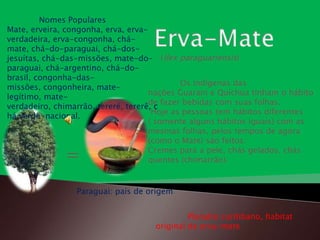 Nomes Populares
Mate, erveira, congonha, erva, erva-
verdadeira, erva-congonha, chá-
mate, chá-do-paraguai, chá-dos-
jesuítas, chá-das-missões, mate-do- (Ilex paraguariensis)
paraguai, chá-argentino, chá-do-
brasil, congonha-das-
                                             Os indígenas das
missões, congonheira, mate-
                                     nações Guarani e Quíchua tinham o hábito
legítimo, mate-
                                     de fazer bebidas com suas folhas.
verdadeiro, chimarrão, tereré, tererê, c
                                      Hoje as pessoas tem hábitos diferentes
há verde nacional.
                                     ( somente alguns hábitos iguais) com as
                                     mesmas folhas, pelos tempos de agora
                                     (como o Mate) são feitos:

              =                      Cremes para a pele, chás gelados, chás
                                     quentes (chimarrão).


                 Paraguai: país de origem.


                                              Planalto curitibano, habitat
                                     original da erva-mate
 