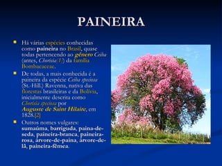 PAINEIRA Há várias  espécies  conhecidas como  paineira  no  Brasil , quase todas pertencendo ao  gênero   Ceiba  (antes,  Chorisia [1] ) da  família   Bombacaceae . De todas, a mais conhecida é a paineira da espécie  Ceiba speciosa  (St.-Hill.) Ravenna, nativa das  florestas  brasileiras e da  Bolívia , inicialmente descrita como  Chorisia speciosa  por  Auguste de Saint Hilaire , em 1828. [2] Outros nomes vulgares:  sumaúma ,  barriguda ,  paina-de-seda ,  paineira-branca ,  paineira-rosa ,  árvore-de-paina ,  árvore-de-lã ,  paineira-fêmea . 