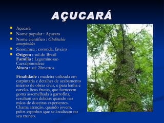AÇUCARÁ Açucará Nome popular : Açucara Nome cientifico :  Gleditschia amorphoides Sinonímea : coronda, faveiro Origem :  sul do Brasil Família :  Leguminosae-Caesalpinoideae Altura :  até 20metros Finalidade :  madeira utilizada em carpintaria e detalhes de acabamento interno de obras civis, e para lenha e carvão. Seus frutos, que fornecem goma assemelhada à garrofina, resultam em delícias quando nas mãos de doceiras experientes. Chama atenção, quando jovem, pelos espinhos que se localizam no seu tronco. 