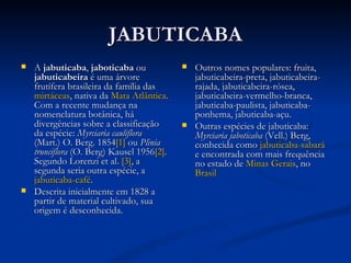 JABUTICABA A  jabuticaba ,  jaboticaba  ou  jabuticabeira  é uma árvore frutífera brasileira da família das  mirtáceas , nativa da  Mata Atlântica . Com a recente mudança na nomenclatura botânica, há divergências sobre a classificação da espécie:  Myrciaria cauliflora  (Mart.) O. Berg. 1854 [1]  ou  Plinia trunciflora  (O. Berg) Kausel 1956 [2] . Segundo Lorenzi et al.  [3] , a segunda seria outra espécie, a  jabuticaba-café . Descrita inicialmente em 1828 a partir de material cultivado, sua origem é desconhecida. Outros nomes populares: fruita, jabuticabeira-preta, jabuticabeira-rajada, jabuticabeira-rósea, jabuticabeira-vermelho-branca, jabuticaba-paulista, jabuticaba-ponhema, jabuticaba-açu. Outras espécies de jabuticaba:  Myrciaria jaboticaba  (Vell.) Berg, conhecida como  jabuticaba-sabará  e encontrada com mais frequência no estado de  Minas Gerais , no  Brasil 