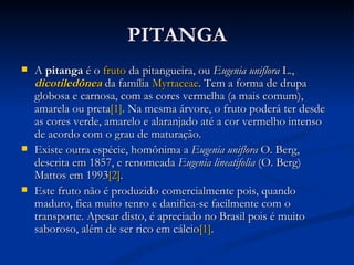 PITANGA A  pitanga  é o  fruto  da pitangueira, ou  Eugenia uniflora  L.,  dicotiledônea  da família  Myrtaceae . Tem a forma de drupa globosa e carnosa, com as cores vermelha (a mais comum), amarela ou preta [1] . Na mesma árvore, o fruto poderá ter desde as cores verde, amarelo e alaranjado até a cor vermelho intenso de acordo com o grau de maturação. Existe outra espécie, homônima a  Eugenia uniflora  O. Berg, descrita em 1857, e renomeada  Eugenia lineatifolia  (O. Berg) Mattos em 1993 [2] . Este fruto não é produzido comercialmente pois, quando maduro, fica muito tenro e danifica-se facilmente com o transporte. Apesar disto, é apreciado no Brasil pois é muito saboroso, além de ser rico em cálcio [1] . 