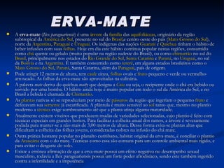 ERVA-MATE A  erva-mate  ( Ilex paraguariensis ) é uma  árvore  da  família  das  aquifoliáceas , originário da região subtropical da  América do Sul , presente no sul do  Brasil ,e centro oeste do pais ( Mato Grosso do Sul ), norte da  Argentina ,  Paraguai  e  Uruguai . Os indígenas das nações  Guarani  e  Quíchua  tinham o hábito de beber infusões com suas  folhas . Hoje em dia este hábito continua popular nestas regiões, consumido como  chá  quente ou gelado (muito popular na região sudeste do Brasil), ou como  chimarrão  no sul do  Brasil , principalmente nos estados do  Rio Grande do Sul ,  Santa Catarina  e  Paraná , no  Uruguai , no sul da  Bolivia  e na  Argentina . É também consumido como  tereré , em alguns estados brasileiros como o  Mato Grosso do Sul ,  Paraná , Santa Catarina, além do  Paraguai , país de origem. Pode atingir 12 metros de altura, tem  caule  cinza,  folhas  ovais e  fruto  pequeno e verde ou vermelho-arroxeado. As folhas da erva-mate são aproveitadas na culinária. A palavra  mate  deriva do quíchua  matty  que designa a  Cuia  ou seja, o recipiente onde o chá era bebido ou sorvido por uma bomba. O hábito ainda hoje é muito popular em todo o sul da América do Sul, e no Brasil a bebida é chamada de  Chimarrão . As  plantas  nativas só se reproduziam por meio de  pássaros  da região que ingeriam o pequeno  fruto  e defecavam sua  semente  já escarificada. A plântula é muito sensível ao  sol  tanto que, mesmo no plantio moderno a  técnica  exige sombreamento até que a planta atinja alguma maturidade. Atualmente existem viveiros que produzem mudas de variedades selecionadas, cujo plantio é feito com técnicas especiais em grandes hortos. Para facilitar a colheita anual dos ramos, a árvore é severamente podada para manter-se a não mais de 3,00 metros de altura. Dessa forma evita-se plantas altas que dificultam a colheita das folhas jovens, consideradas nobres na infusão do chá mate. Outra prática bastante popular no planalto curitibano, habitat original da erva-mate, é conciliar o plantio da  Araucária  com o do mate. Técnicas como essa são comuns para um controle ambiental mais rígido, e para evitar o desgaste do solo. Existe a errônea afirmação de que a erva-mate possui um efeito negativo no desempenho sexual masculino, todavia a Ilex paraguariensis possui um forte poder afrodisíaco, sendo este também ingerido contra a infertilidade e a impotência 