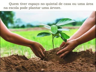 Quem tiver espaço no quintal de casa ou uma área
na escola pode plantar uma árvore.
 