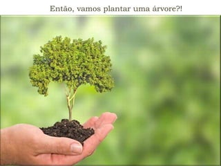 Então, vamos plantar uma árvore?!
 