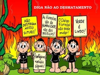 DIGA NÃO AO DESMATAMENTO.
 