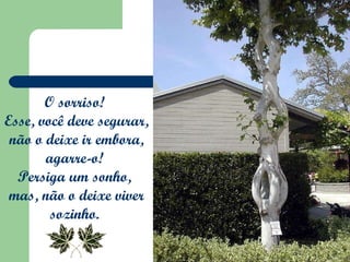 O sorriso!  Esse, você deve segurar,  não o deixe ir embora, agarre-o!  Persiga um sonho,  mas, não o deixe viver sozinho.  