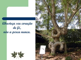 Abasteça seu coração de fé,  não a perca nunca.  