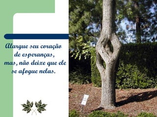 Alargue seu coração  de esperanças, mas, não deixe que ele se afogue nelas.  