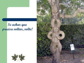 Se achar que  precisa voltar, volte!   