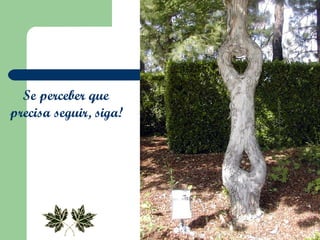 Se perceber que  precisa seguir, siga!   