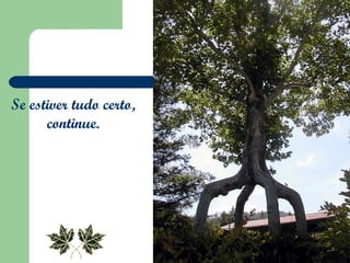 Se estiver tudo certo,  continue.  