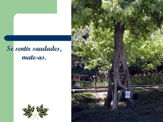 Se sentir saudades,  mate-as.  