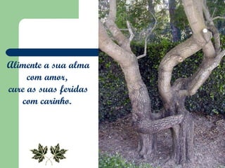 Alimente a sua alma com amor,  cure as suas feridas com carinho.  