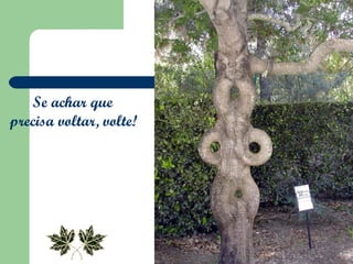 Se achar que  precisa voltar, volte!   