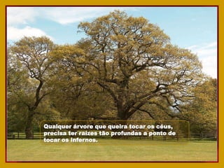 Qualquer árvore que queira tocar os céus,
precisa ter raízes tão profundas a ponto de
tocar os infernos.
 