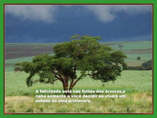 A felicidade está nas folhas das árvores,e
cabe somente a você decidir se viverá um
outono ou uma primavera.
 