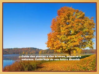 Cuide das plantas e das árvores, preserve a
natureza. Cuide hoje do seu futuro amanhã.
 