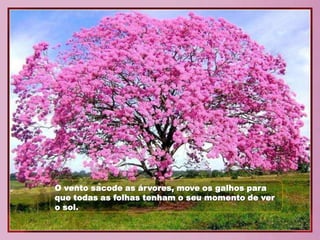 O vento sacode as árvores, move os galhos para
que todas as folhas tenham o seu momento de ver
o sol.
 