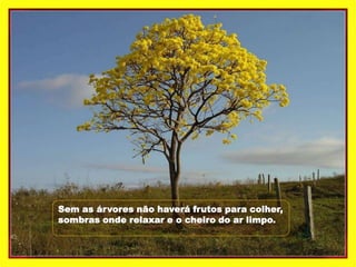 Sem as árvores não haverá frutos para colher,
sombras onde relaxar e o cheiro do ar limpo.
 