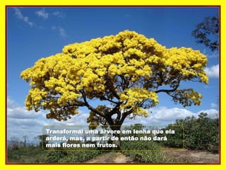 Transformai uma árvore em lenha que ela
arderá, mas, a partir de então não dará
mais flores nem frutos.
 