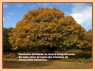 Nenhuma atividade no bem é insignificante.
As mais altas árvores são oriundas de
minúsculas sementes.
 