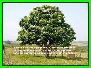 Quando a árvore é pequena, o jardineiro orienta-a
como quer. Mas quando a árvore cresce já não
pode mais orientar as suas curvas e sinuosidades.
 