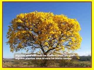 Alguém está sentado na sombra hoje, porque
alguém plantou uma árvore há muito tempo.
 