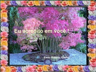 Eu acredito em você ! Paulo Roberto Gaefke 