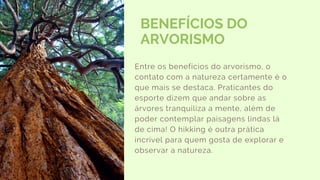 BENEFÍCIOS DO
ARVORISMO
Entre os benefícios do arvorismo, o
contato com a natureza certamente é o
que mais se destaca. Praticantes do
esporte dizem que andar sobre as
árvores tranquiliza a mente, além de
poder contemplar paisagens lindas lá
de cima! O hikking é outra prática
incrível para quem gosta de explorar e
observar a natureza.
 